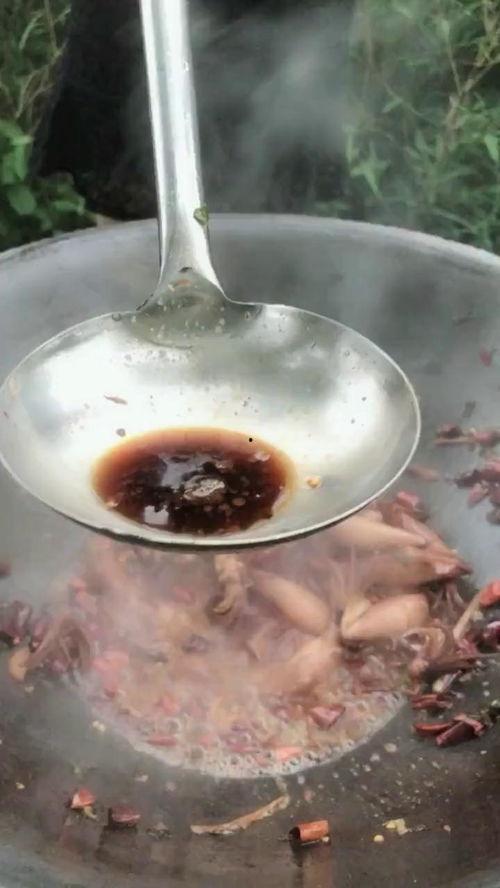 海兔视频,海洋生物的奇妙世界