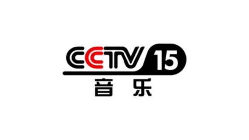 cctv央视频道,解码中国电视新闻的权威之声