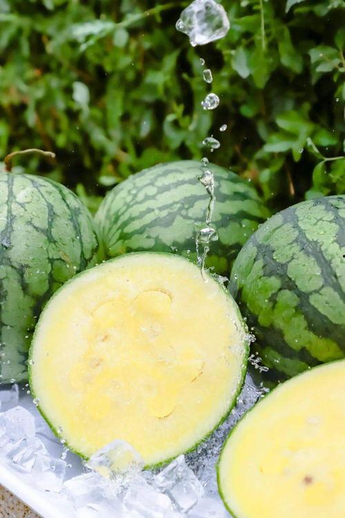 798.su黑料吃瓜网,网络舆论场中的暗流涌动