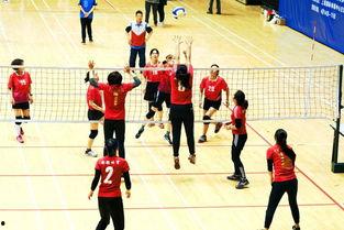 气排球基本功教学视频,掌握基础技巧，轻松入门气排球