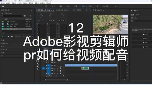 配音视频素材,揭秘配音视频背后的魅力与技巧