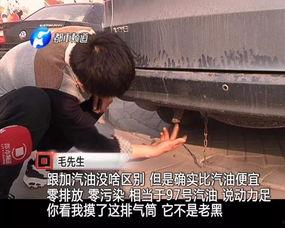 毛多水多视频,揭秘毛茸茸生物的神秘水域生活