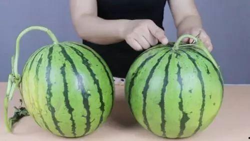 今日新鲜事酉瓜器,揭秘古代神秘酉瓜器的神奇魅力