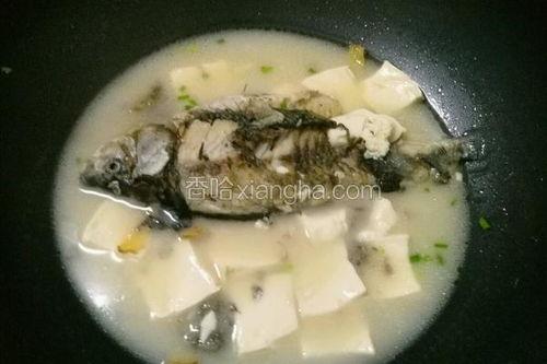 鲫鱼豆腐汤的做法视频,家常美味，营养滋补，视频教学轻松学会