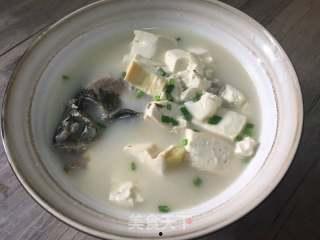 鲫鱼豆腐汤的做法视频,家常美味，营养滋补，视频教学轻松学会