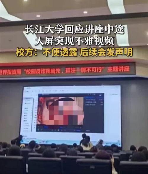 大学视频,视频内容深度解析