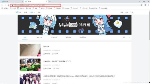 哔哩哔哩视频网,年轻人的二次元乐园，探索虚拟与现实的交融