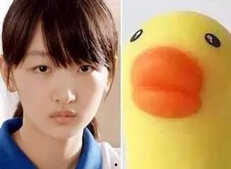 吃瓜鹅每日爆料小黄鸭影后,揭秘吃瓜鹅每日爆料背后的真相