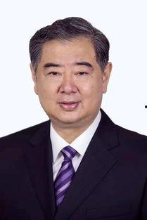 领导人视频集,视频集展现领导人智慧与魅力