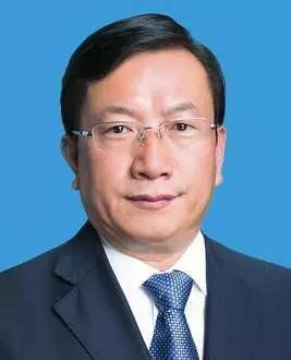 领导人视频集,视频集展现领导人智慧与魅力