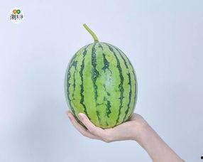 今日份快乐吃瓜,盘点娱乐圈新鲜趣事