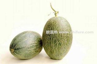 越南哈密瓜今日报价价格,新鲜上市，价格实惠，抢购从速！”