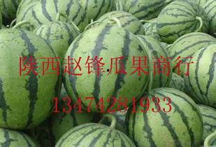 越南哈密瓜今日报价价格,新鲜上市，价格实惠，抢购从速！”