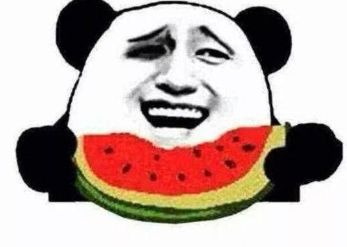 黑哥吃瓜爆料图片,吃瓜群众视角下的娱乐圈风云录