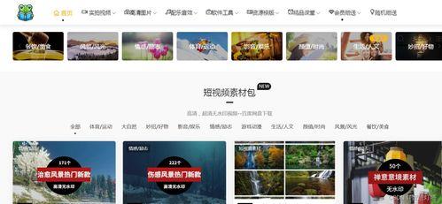 视频素材去哪找,视频素材中的历史瞬间