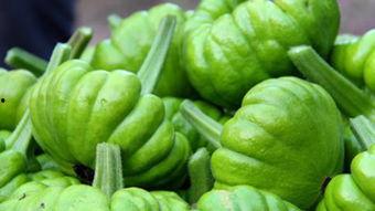 美柄瓜今日价,价格波动解析