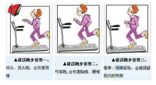 爱爱姿势视频,探索爱爱姿势的多样性与技巧