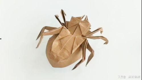 折纸蜘蛛视频