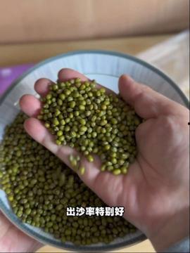 绿豆视频,揭秘绿色生活新风尚