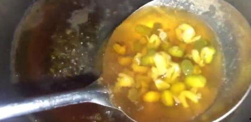 绿豆视频,揭秘绿色生活新风尚