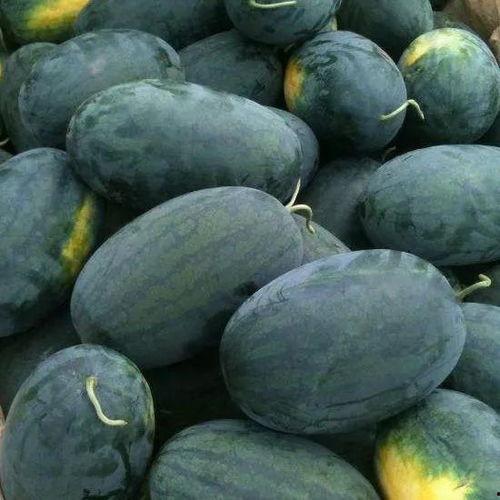 五一黑料吃瓜资源官网