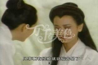 很黄视频,揭秘网络“黄”视频背后的真相