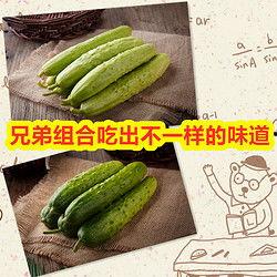 胡芦岛旱瓜今日价格,市场行情一览”