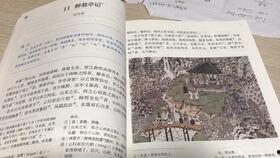 醉翁亭记朗诵视频,穿越时空的山水之韵