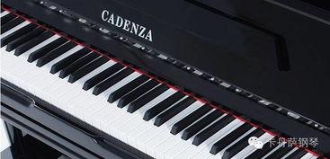 钢琴指法练习视频,高效提升演奏技巧的秘籍解析