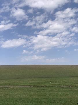 草原视频,广袤无垠的自然画卷