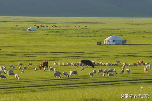 草原视频,广袤无垠的自然画卷