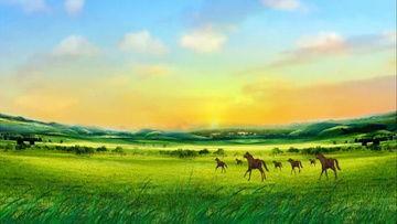 草原视频,广袤无垠的自然画卷