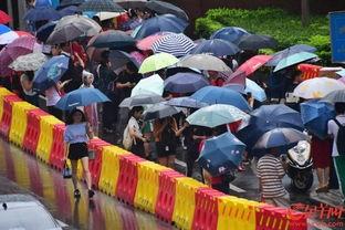 毛坦厂视频,揭秘中国高考生背后的奋斗与压力