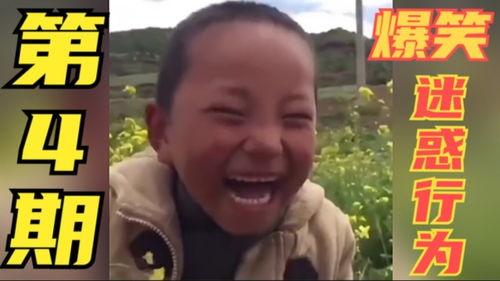 全网最火搞笑视频,全网爆笑！年度最火搞笑视频大盘点