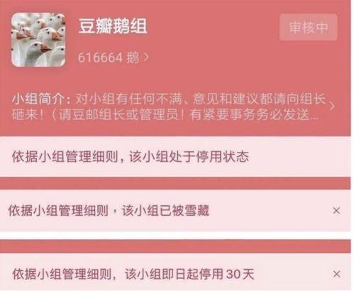 豆瓣吃瓜爆料准吗,揭秘娱乐圈真相，准确度如何？