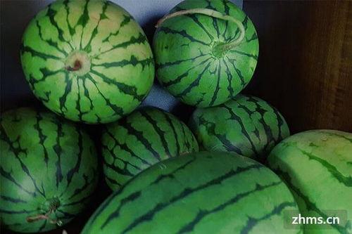 武汉麒麟瓜今日市场价,市场价揭秘！”