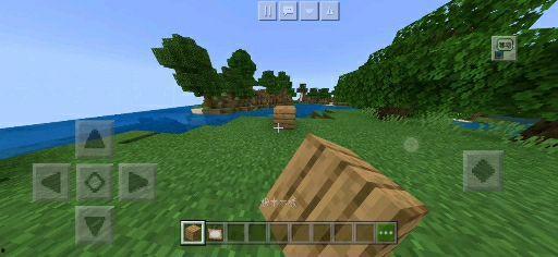 视频我的世界,视频中的奇幻冒险之旅