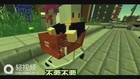 吃瓜爆料阿神视频大全,吃瓜爆料视频大全背后的精彩瞬间