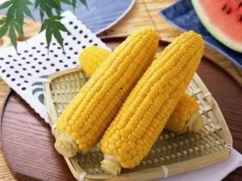 籽瓜种子西籽一号玉米价格今日价,市场行情一览无余”