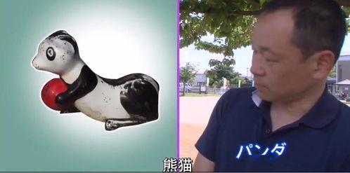 岛国爱爱视频,揭秘爱爱视频中的独特魅力