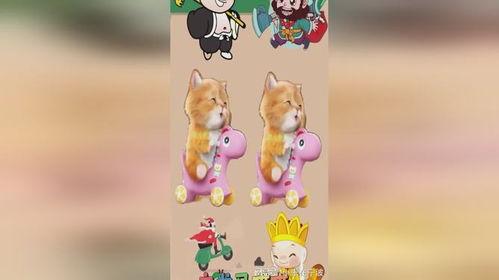 白龙马儿歌视频,童趣盎然，传承经典