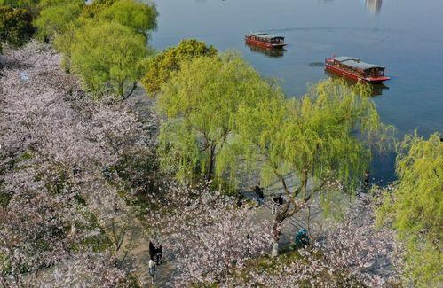 今日瓜渚湖,探寻江南水乡的宁静与美丽