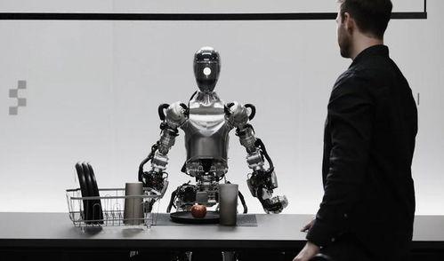 人形机器人视频,未来智能生活的新伙伴