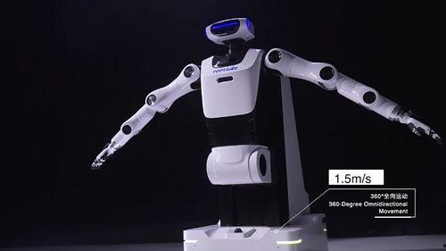 人形机器人视频,未来智能生活的新伙伴