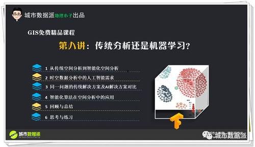 免费视频爱爱,带你走进情感世界的秘密花园