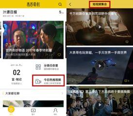 电影短视频,短视频中的电影魅力解析