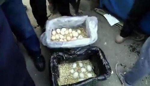 老太太啪啪视频,老太太啪啪视频事件引发的深思