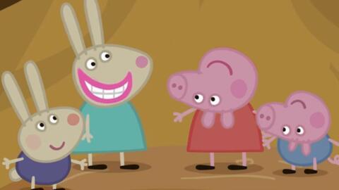 小猪搞笑视频,小猪搞笑视频集锦，笑料横生，欢乐无限