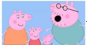 小猪搞笑视频,小猪搞笑视频集锦，笑料横生，欢乐无限