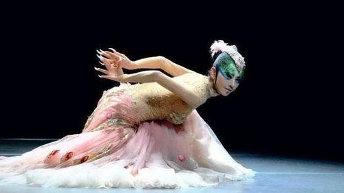 杨丽萍的孔雀舞视频,舞动生命，绽放东方之美